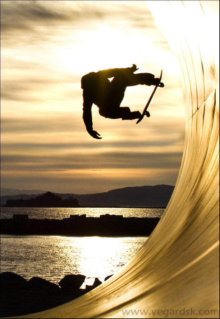 Planche de skate Signature Shotgun | Moritz Rech | Poisson
